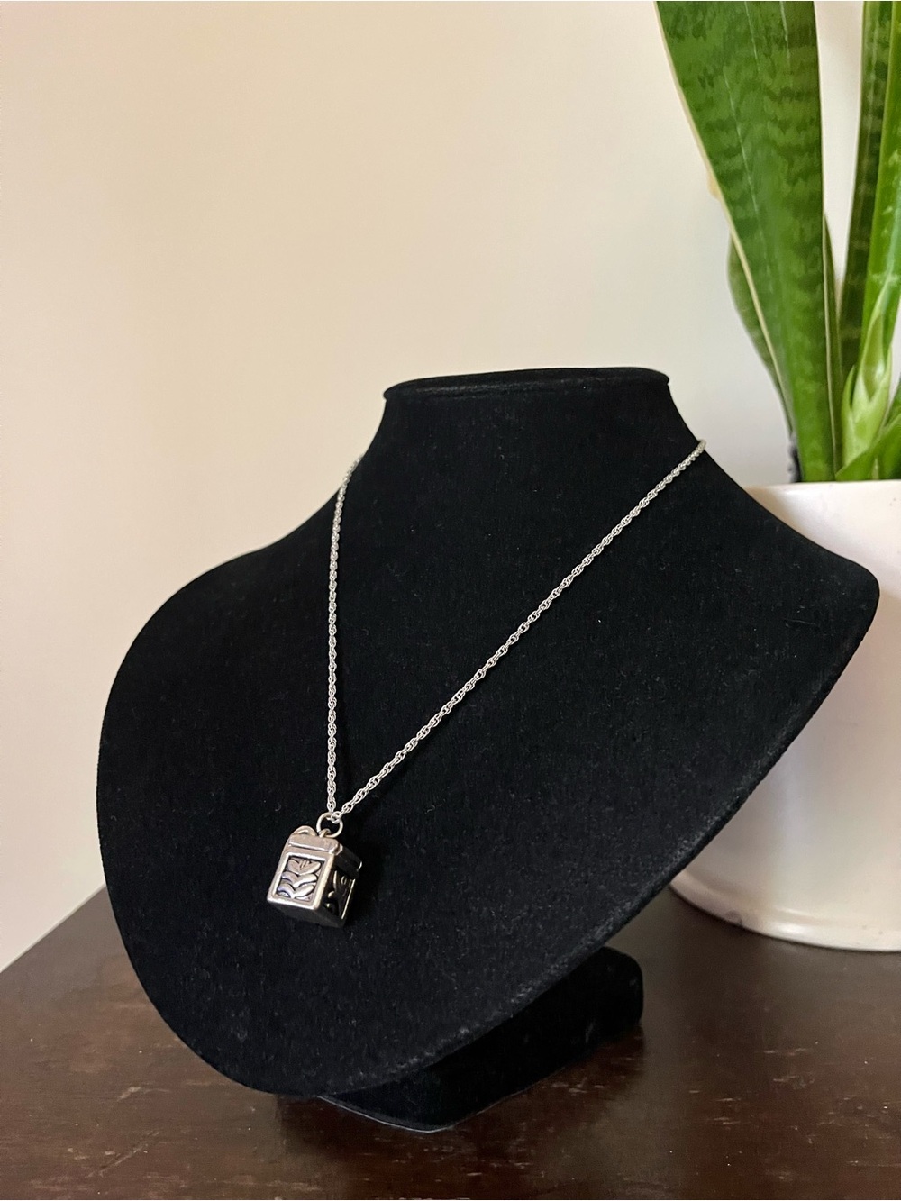 Silver Tone Metal Mini Trinket Box Necklace
